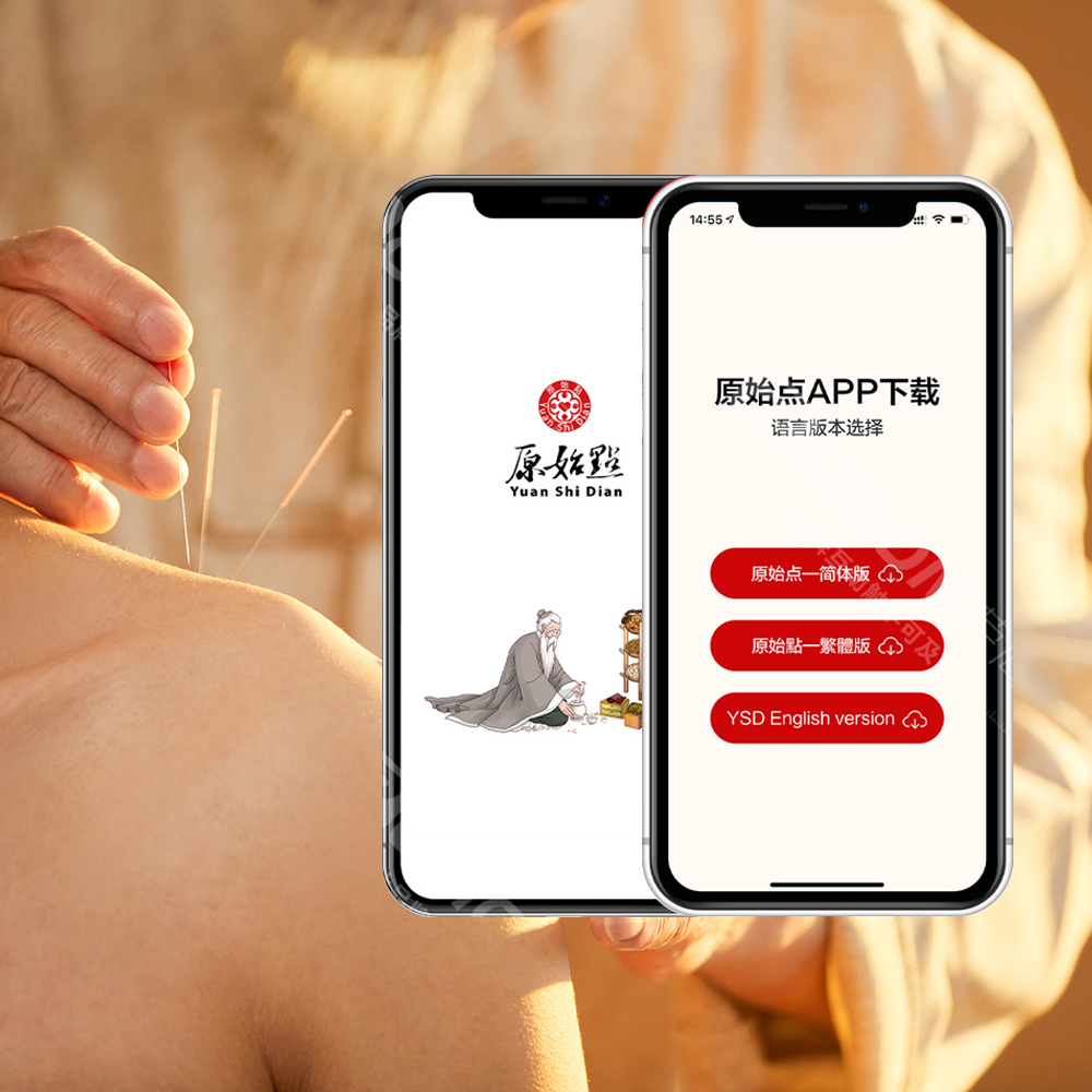 原始点多语言版本APP设计与开发